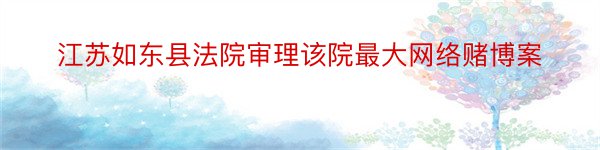江苏如东县法院审理该院最大网络赌博案